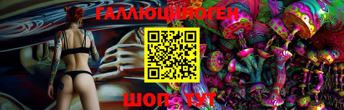 Новочебоксарск  Галлюциногенные грибы Psilocybine cubensis  Вход с VPN 