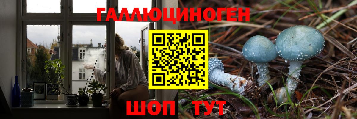 Галлюциногенные грибы Magic Shrooms Новочебоксарск